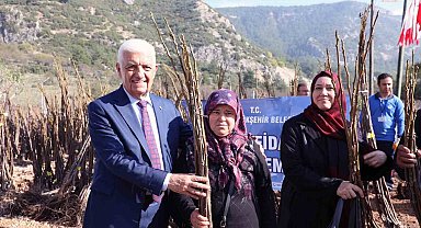 Muğla Büyükşehir Belediyesi 53 bin adet meyve fidanı dağıtıyor