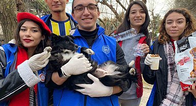 Muğla'da çocuklardan sokak hayvanlarına karşı duyarlı davranış