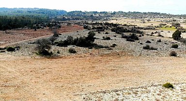 Muğla'nın yüksek kesimleri, bu yıl kar yüzü görmedi