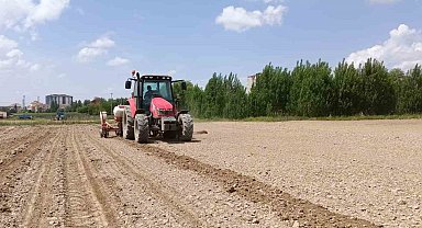 Niğde Patates Araştırma Enstitüsü'ne işçi alınacak