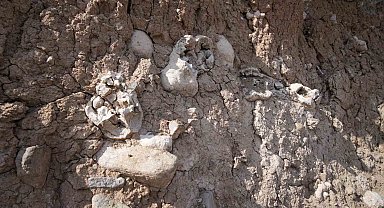 Niğde'deki dinozor fosili sanılan oluşumlar traverten taşı çıktı