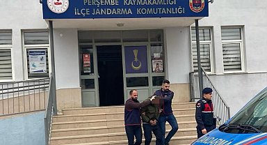 Ordu'da evden hırsızlık yapan şahıs tutuklandı