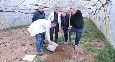 Örtü altı üreticiye destek