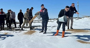 Özalp ilçesinde sokak ve yaban hayvanları için yem bırakıldı
