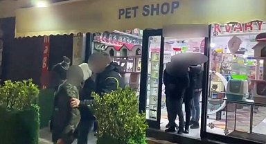 Pet shop'ta düzensiz göçmen operasyonu