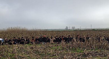 Şanlıurfa'da 29 kaçak göçmen yakalandı