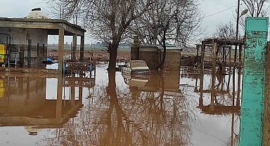 Şanlıurfa'da kırsal mahalleler sel suları altında kaldı