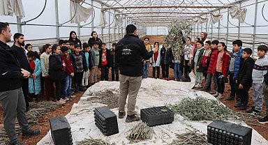 Şanlıurfa'da öğrenciler tarımla buluşturuldu