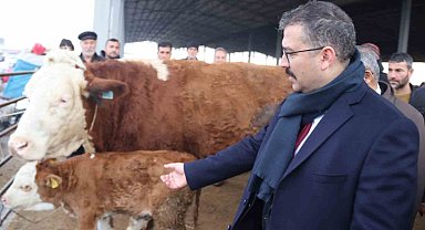 Şap hastalığından dolayı kapalı olan Iğdır Hayvan Borsası yeniden kullanıma açıldı