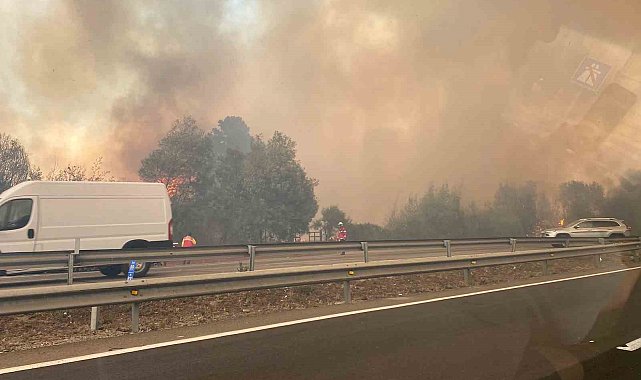 Şili'deki orman yangınlarında 10 kişi öldü, OHAL ilan edildi