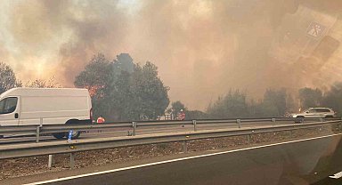 Şili'deki orman yangınlarında 10 kişi öldü, OHAL ilan edildi