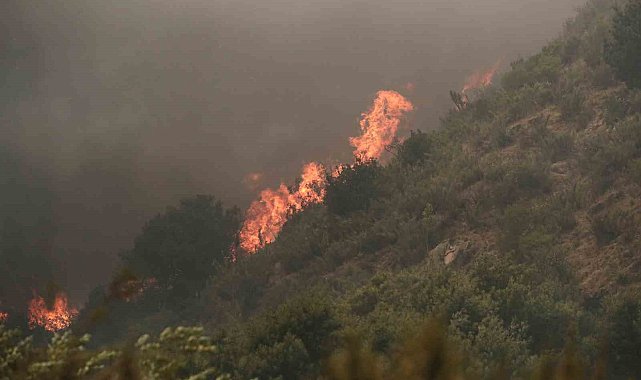 Şili'deki orman yangınlarında can kaybı 51'e yükseldi