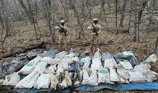 Şırnak'ta terör örgütüne büyük darbe: Çok sayıda mühimmat ele geçirildi