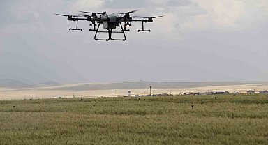 Sökeli üreticilere drone ile ilaçlama uyarısı
