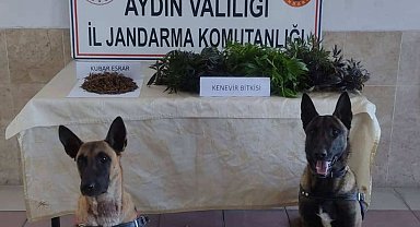 Şüpheli şahsın ikametinde uyuşturucu ele geçirildi