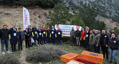 Tarım zararlılarıyla mücadele için doğaya keklik salındı