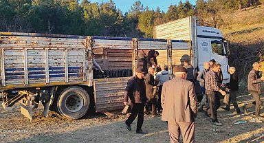 Tavşanlı'da köylülere 750 hünnap fidanı dağıtıldı