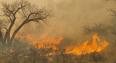 Texas'taki orman yangınlarında 1 kişi hayatını kaybetti