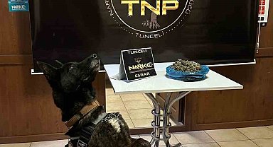Tunceli'de zehir tacirleri, 'Fırtına'dan kaçamadı