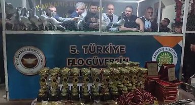 Türkiye'nin en güzel güvercinleri Karkamış'ta görücüye çıktı