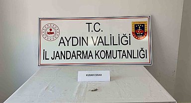 Uyuşturucu kullanan 7 kişi yakalandı