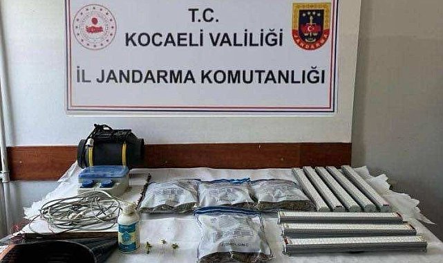 Uyuşturucu operasyonunda 11 gözaltı