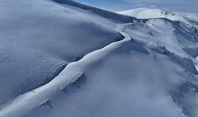 Uzungöl'ün zirvelerinde dronla tilkiyi saniye saniye takip etti