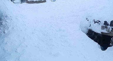 Van'da bir evin üzerine çığ düştü