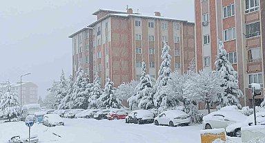 Van'da karla gelen güzellik