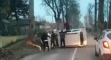 Yalova'da ağaca çarpan hafif ticari araç devrildi