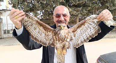Yaralı bulunan kızıl şahin tedavi altına alındı