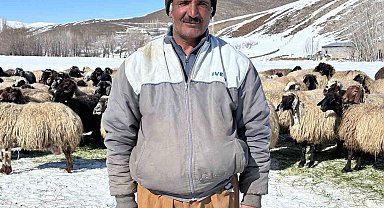 Yüksekova'da ithal çoban dönemi