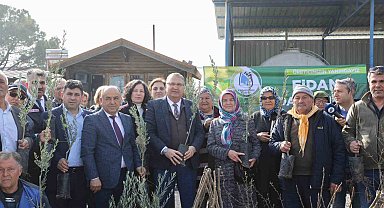 Yunusemre Belediyesi fidan dağıtacak