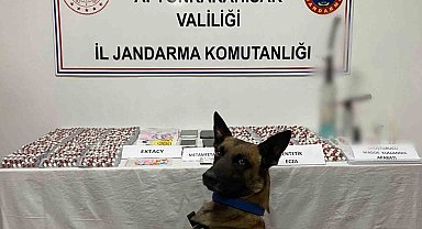 Zehir tacirlerini jandarma yakaladı
