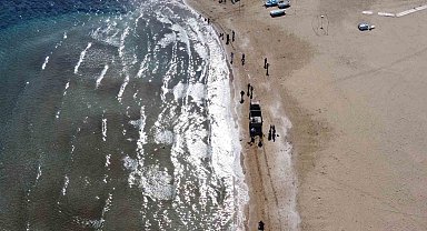 Zehirli sakın dokunmayın: Denizanaları sahilden toplanıyor