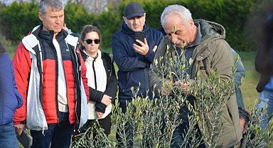 Zeytin yetiştiriciliği kursuna büyük ilgi