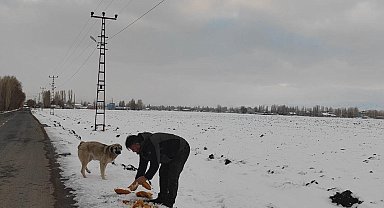 Zorlu kış şartlarında hayvanlara kucak açtı