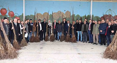 11 bin adet ceviz fidanı dağıtıldı