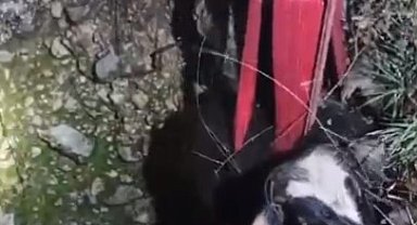 15 metrelik kuyuya düşen inek, 3 saatte kurtarıldı