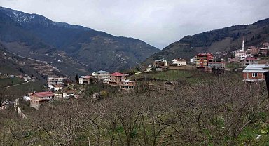 34 yıl sonra yeniden Giresun'a bağlanıyorlar