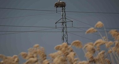 5 bin kilometre yol kat edip ata yurduna döndüler