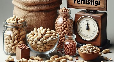 Adana yerfıstığı üretiminde Türkiye birincisi oldu