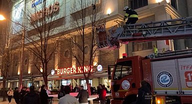 Ağaçta mahsur kalan kediyi itfaiye kurtardı