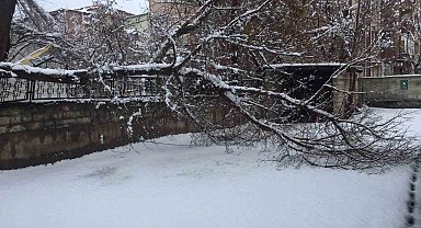 Ağrı'da bahar havası yerini kara bıraktı