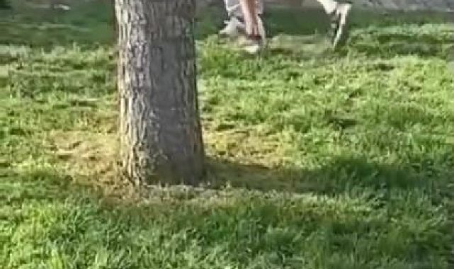 Akran zorbalığı kamerada: Yumruk atıp silah çekti