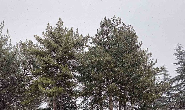 Alaca'ya lapa lapa kar yağdı