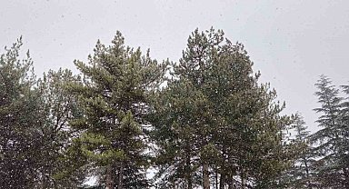 Alaca'ya lapa lapa kar yağdı