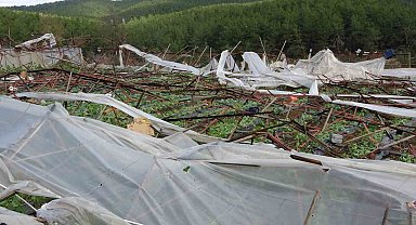 Alanya'da hortum 250 dönümden fazla seraya zarar verdi
