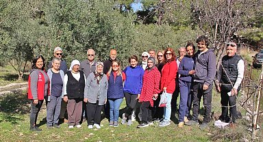 Almanlar ve İngilizler zeytin budamayı öğrendi