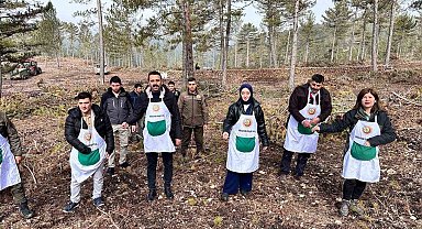 Altıntaş ve Dumlupınar Kaymakamları karaçam tohumu ekimi yaptı